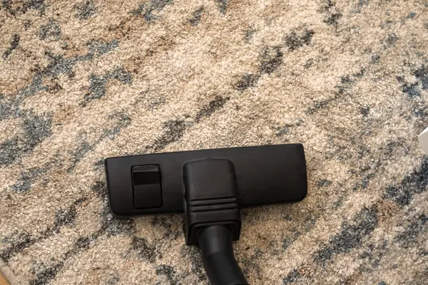 Professional rug cleaning and stain removal service